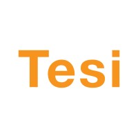 Tesi logo - Similar company to Kvanted