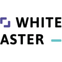 Whiteaster logo - Similar company to Econnect4U Sp. Z O.O.