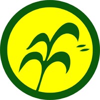 J.P. Rice International (1998) Co., Ltd. logo - Similar company to ข้าวหงษ์ทอง (Chia Meng Marketing Co., Ltd.)