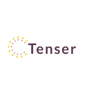 Tenser logo - Similar company to Tenzer