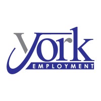 York Employment Services Inc. logo - Similar company to Cfotune