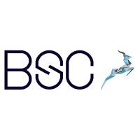 Montenegro Business Support centar logo - Similar company to Montenegro Creative Studio