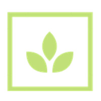 Plantproteins.Co