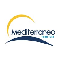 Mediterraneo Hedge-Fund-plc logo - Similar company to Ddw Technology (Ai Currency Speculation)
