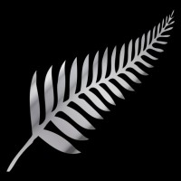 Silver Fern Financial logo - Similar company to Opschamp Llc