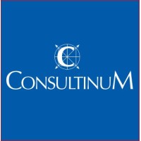 Consultinum® logo - Similar company to Max Twelve Gmbh