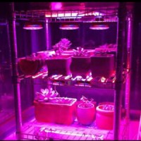 Aglex Grow Light logo - Similar company to Grow Light Pro