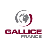 GALLICE France logo - Similar company to Geos Group
