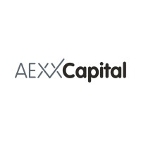 Aexx Capital logo - Similar company to Debt Data Lab