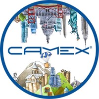 Camex.ge logo - Similar company to Flyex Courier & Logistics Ltd
