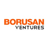 Borusan Ventures logo - Similar company to Networkvc.Org