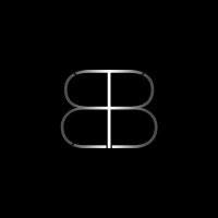 Braginsky Bureau logo - Similar company to Школа Траблшутеров