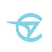 CAPE AVIATION LLP logo - Similar company to Roche Aviation