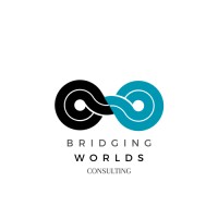 Bridging Worlds Consulting logo - Similar company to Techmindset Africa