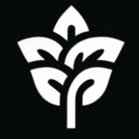 Basilica Coding logo - Similar company to Dau'Ia