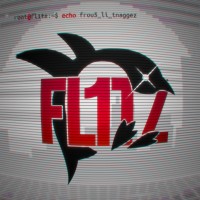 FL1TZ logo - Similar company to M104 Formation