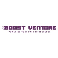 Boost Venture logo - Similar company to Boost Venture Consulting
