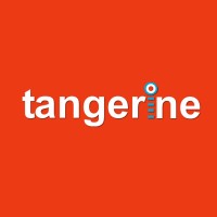Tangerine Enterprises Lda logo - Similar company to Techzone