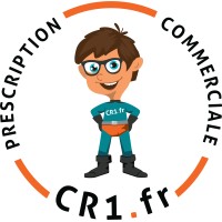 Sécurité Incendie | Cr1.fr logo - Similar company to Mesys