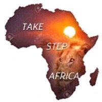 Take Step Africa 🌍 logo - Similar company to African Entrepreneurship Academy - Aea