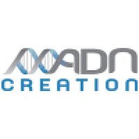 ADN CREATION logo - Similar company to Evolcast