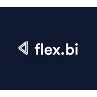 Flex.bi business intelligence logo - Similar company to X9Elysium