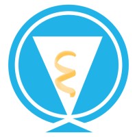 The Silver Liqueur Company logo - Similar company to Dcs Solutions