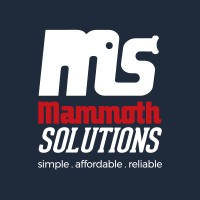 Mammoth Solutions - B2B Digital Advertising Consultants logo - Similar company to Liveline