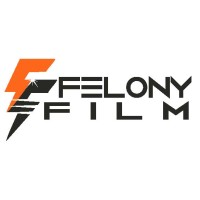 Felony Film PPF logo - Similar company to Parks Detailing