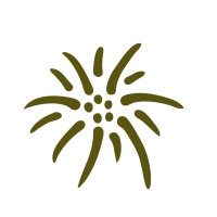EWC EDELWEISS CONSULTING logo - Similar company to Ewc Llp