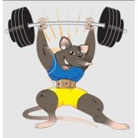 Gym Rats Marketing logo - Similar company to Gym Floor Resource