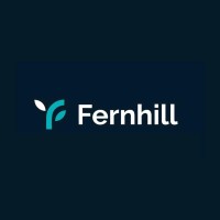 Fernhill Digital Consulting logo - Similar company to Dux Logic