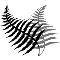 Fernfield Homes Ltd logo - Similar company to Leath Park Developments