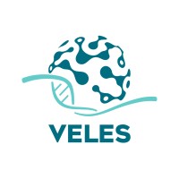VELES logo - Similar company to Ip Research