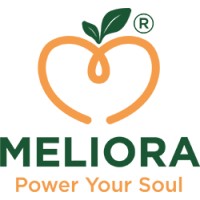 Meliora Group s.r.l logo - Similar company to Ren+Homes
