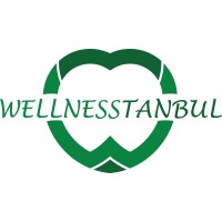 Wellnesstanbul Kurumsal Wellness Danışmanlığı logo - Similar company to Wellness Vr