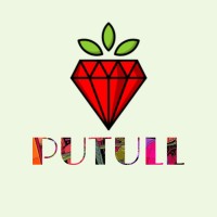 PUTULL logo - Similar company to Rainbow Web