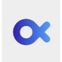 BigFish Counsulting Group logo - Similar company to Shoptok