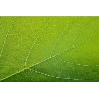 Inside Ecology logo - Similar company to Swift Ecology Ltd