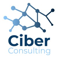 Ciber Consulting logo - Similar company to Ciber Consulting