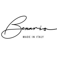 Benario Consulting logo - Similar company to Sole Global