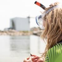 ivandet logo - Similar company to Ocean Lab