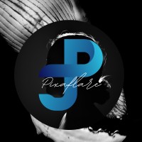 PixaFlare Solutions LLP logo - Similar company to Aiquid