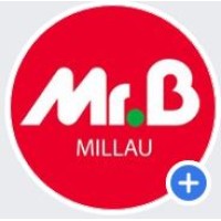 MR BRICOLAGE MILLAU logo - Similar company to Mr Bricolage