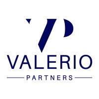 Valerio Partners logo - Similar company to Lisboa Concierge