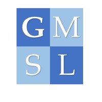 GMSL Business Solutions, LLC logo - Similar company to Vadzo Imaging