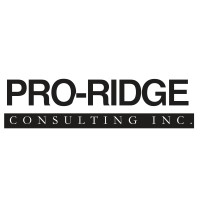 Pro-Ridge Consulting logo - Similar company to Amlgs