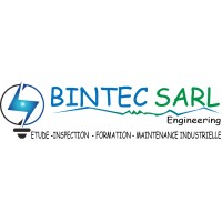 Bintecsarl logo - Similar company to Legloobe