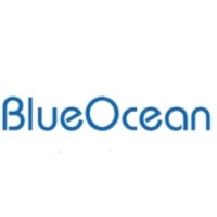 Blueocean Corporate Solutions logo - Similar company to Regulatory Wisdom