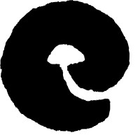 Enoki Solutions Inc. logo - Similar company to Westland Benefits